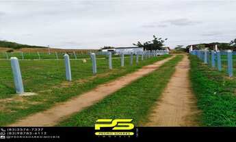 Imagem 4: Fazenda para vender com 14 hectares em alagoinha - pb, por r$ 750.000,00 para