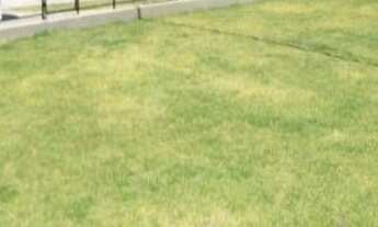 Imagem 7: Apartamento com 2 dormitórios à venda, 53 m² por r$ 125.000,00 - gramame - joão pessoa/pb