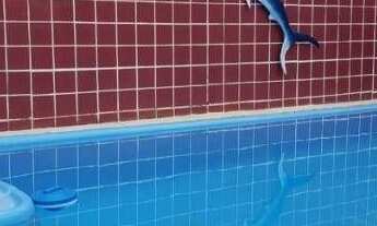 Imagem 3: Apartamento com 2 dormitórios à venda, 54 m² por r$ 135.000,00 - ernesto geisel - joão pes