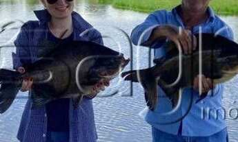 Imagem 4: Fazenda à venda, 2.083 hectares por r$ 65.000.000 - zona rural - juara/mt para