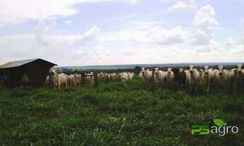 Imagem: Fazenda à venda, 570000000 m² por r$ 800.000.000