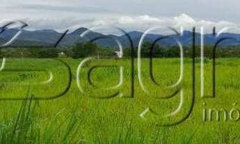 Imagem 3: Fazenda à venda, 105000 m² por r$ 23.000.000 - zona rural -to para