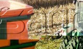 Imagem 6: Fazenda, centro - uruçuí para