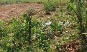 Imagem 3: 2 terreno à venda, 160 m² por r$ 50.000 - zona rural - cuitegi/pb para