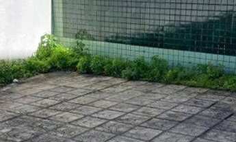 Imagem 2: Apartamento com 2 dormitórios à venda, 100 m² por r$ 150.000,00 - josé américo de almeida