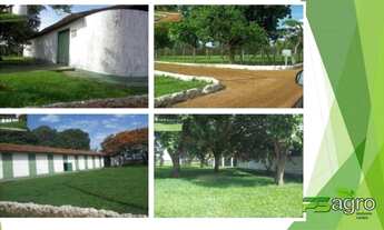 Imagem 6: Fazenda à venda, 934000000 m² por r$ 868.000.000 - zona rural - são felix do araguaia/mt p