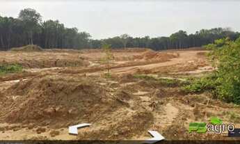 Imagem 2: Fazenda à venda, 100000000 m² por r$ 30.000.000 - zona rural - próximo a cidade de realida