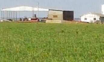 Imagem 3: Fazenda à venda, 1010000 m² por r$ 370.000.000,00 - alvorada - pimenta bueno/ro para