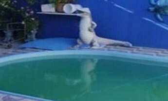 Imagem 4: Casa com 3 dormitórios à venda por r$ 280.000 - mangabeira - joão pessoa/paraíba para