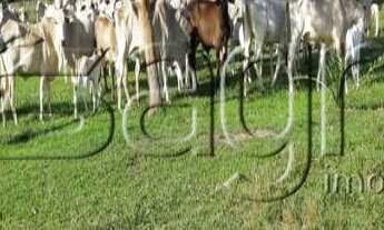 Imagem 6: Fazenda à venda, 6321 hectares por r$ 50.000.000 - centro - cocalinho/mt para