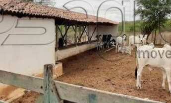 Imagem 5: Fazenda com 3 dormitórios à venda, 1900000 m² por r$ 900.000,00 - 00 - sumé/pb para