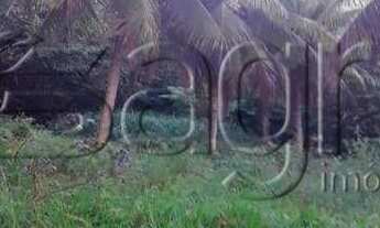 Imagem: Fazenda à venda, 3600 m² por r$ 240.000,00