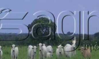 Imagem: Fazenda à venda, 83.848 hectares por r$