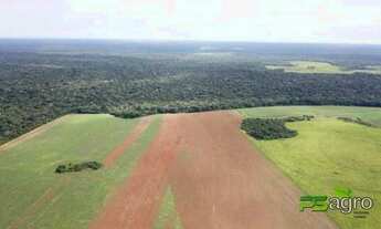Imagem 6: Fazenda à venda, 33000000 m² por r$ 70.000.000 - zona rural -mt para