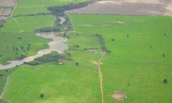 Imagem: Fazenda 15.343 hectares Paragominas, a venda
