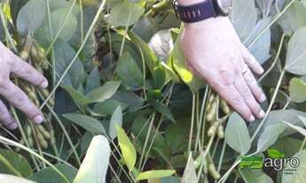 Imagem 3: Fazenda à venda, 48000000 m² por r$ 15.000.000 - menino deus - lucas do rio verde/mt para