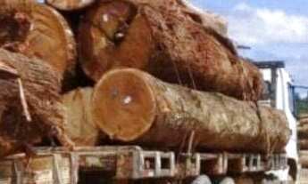 Imagem 4: Fazenda à venda, 1010000 m² por r$ 370.000.000,00 - alvorada - pimenta bueno/ro para