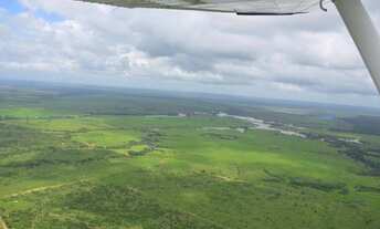 Imagem 3: Fazenda 15.343 hectares Paragominas, a venda por R$400.000.000,00