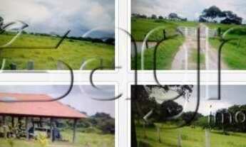 Imagem: Fazenda à venda, 87.875 mil hectares por