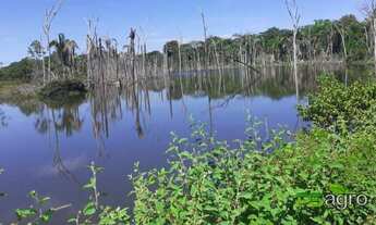 Imagem 6: Fazenda à venda com repasse de arrendamento, 89000000 m² por r$ 999.999.999 - novo horizon