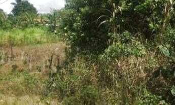 Imagem: Terreno à venda, 900 m² por r$ 69. - municípios