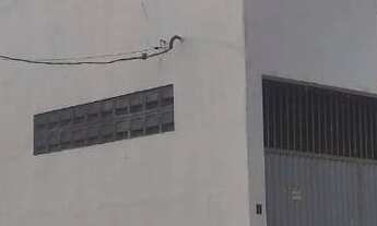 Imagem: Galpão 900m² em igarassu, a venda por