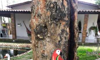 Imagem 3: Fazenda com 5 dormitórios à venda, 1 m² por r$ 1.500.000,00 - zona rural - pedras de fogo