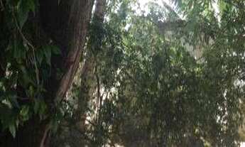 Imagem 4: Casa com 2 dormitórios à venda por r$ 200.000,00 - jacumã - conde/pb para