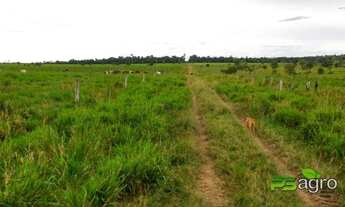 Imagem 3: Fazenda à venda, 24103200 m² por r$ 18.000.000 - zona rural/mt para