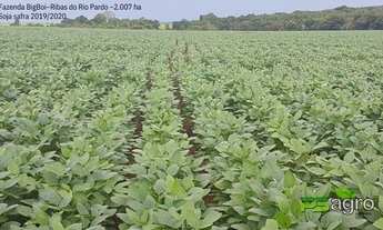 Imagem 5: Fazenda à venda, 20070000 m² por r$ 70.245.000,00 - centro - ribas do rio pardo/ms para