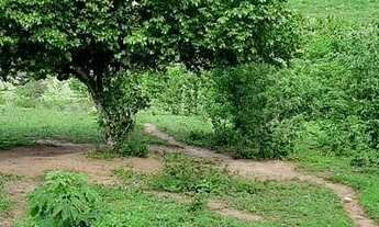 Imagem: Fazenda em alagoinha PB 7,3093ha, a venda