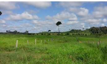 Imagem: Fazenda 101.000 mil hectares em MT, a venda