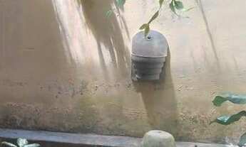 Imagem 2: Casa com 3 quartos à venda, miramar - joão pessoa para venda