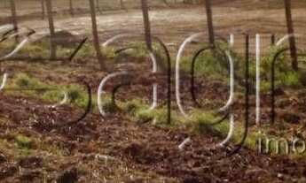 Imagem: Fazenda. à venda, 650 hectares por r$ 20.000.000