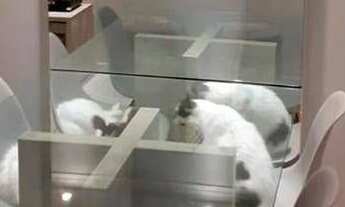 Imagem 3: Apartamento com 2 dormitórios à venda, 54 m² por r$ 130.000 - ernesto geisel - joão pessoa