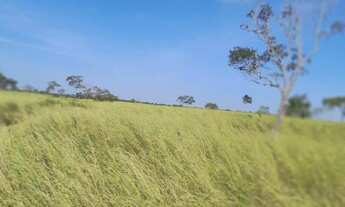 Imagem: Fazenda à venda - abreulândia para
