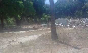 Imagem: Oportunidade ) 8 lotes de 15x30 em carapibus