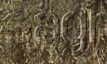 Imagem 3: Fazenda, centro - uruçuí para