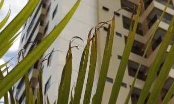 Imagem 6: Apartamento com 3 dormitórios à venda, 89 m² por r$ 499.000,00 - bessa - joão pessoa/pb pa