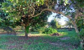 Imagem 6: Granja 7.208m² com 2 casas e piscina no Conde, a venda por R$750.000,00