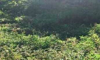 Imagem 2: Terreno para alugar, 1280 m² por r$ 10.000/mês - bessa - joão pessoa/pb para