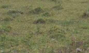 Imagem 3: Terreno à venda, 235 m² por r$ 68.000 - bananeiras - bananeiras/pb para