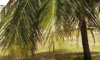 Imagem: Casa com 2 dormitórios à venda por r$