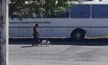 Imagem: Galpão à venda, 150 m² por r$ 250.000