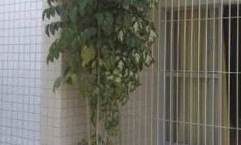 Imagem 3: Apartamento com 3 dormitórios à venda, 80 m² por r$ 158.000 - josé américo de almeida - jo