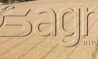 Imagem 2: Fazenda à venda, 390000 m² por r$ 500.000.000,00 - centro - santa terezinha/sc para