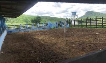 Imagem 4: Vendo fazenda em são josé dos ramos para