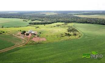 Imagem 4: Fazenda à venda, 33000000 m² por r$ 70.000.000 - zona rural -mt para