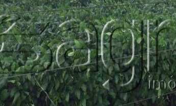 Imagem 2: Fazenda à venda, 22000000 m² por r$ 45.000.000,00 - zona rural - vila rica/mt para