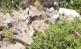 Imagem: Oportunidade) terreno à venda, 300 m²